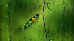 Green artwork Plants Art