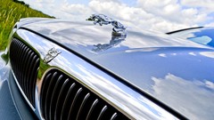 Green blue cars grass