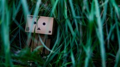 Green boxes lonely danboard