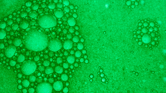 Green bubbles wide abstract