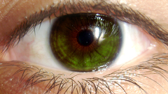 Green close-up eyes