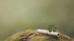 Green clover leaf messenger