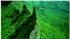 Green contributing nature