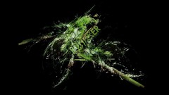 Green dark chaos George