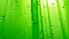 Green design nature color
