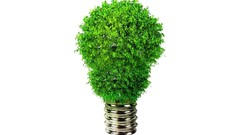 Green energy bulbs 3d