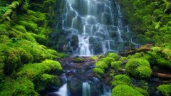 Green falls htc one x