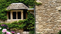 Green Flowers Garden House