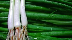 Green food onions
