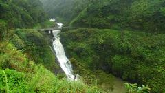 Green forests Bridges waterfalls