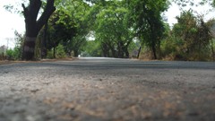 Green forests Highways roads