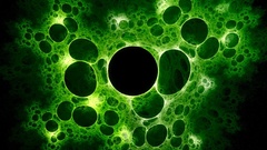 Green Fractals Holes