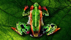 Green Frogs humans artwork airbrushed