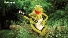 Green Frogs kermit the frog Jim Henson banjo