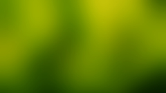 Green gaussian Blur