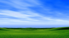 Green grass fields and