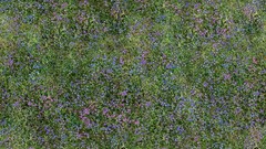 Green grass meadows Textures
