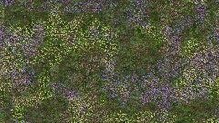 Green grass meadows Textures
