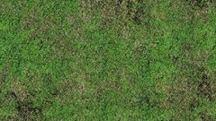 Green grass Textures