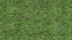 Green grass Textures