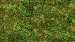 Green grass Textures
