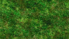 Green grass Textures