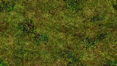 Green grass Textures