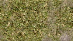 Green grass Textures plains