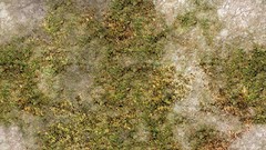 Green grass Textures plains