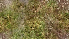 Green grass Textures plains