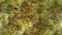 Green grass Textures scrublands