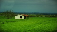 Green houses outdoors indoors