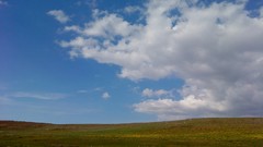 Green iran Ardebil (Iran)