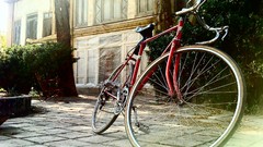 Green iran Ardebil (Iran)