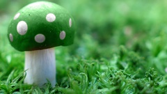 Green iv high Resolution