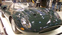 Green jaguar high Resolution