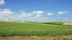 Green Japan Landscapes Hokkaido