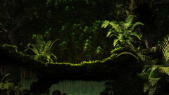 Green jungle dreams moss