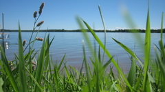 Green Landscapes nature Sea