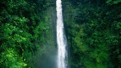 Green Landscapes nature waterfalls