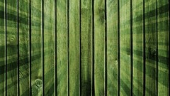 Green lines wood panels