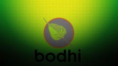 Green Linux Bodhi Linux