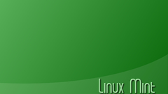 Green Linux mint computer