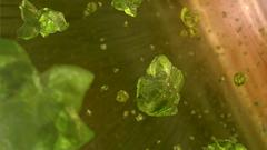 Green minerals