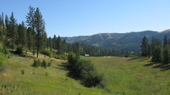 Green Mountains Landscapes nature