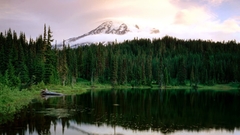 Green Mountains nature Trees