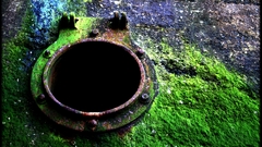 Green multicolor rust