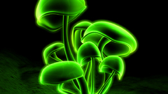 Green mushrooms