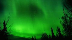 Green nature aurora borealis