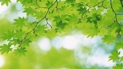 Green nature leaves depth